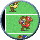 Crazy Chocobo Race